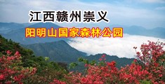 欧美大肉棒插入操逼爽视频